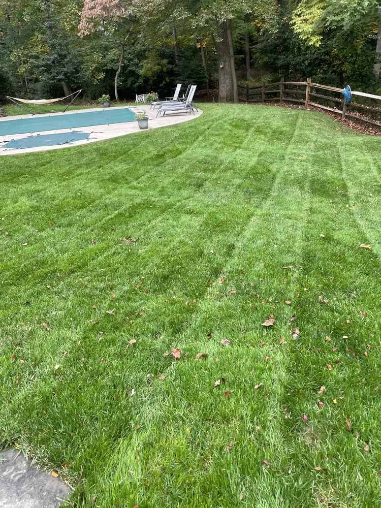 Local landscaping services with custom design in Clinton, MD by Tobias Landscaping