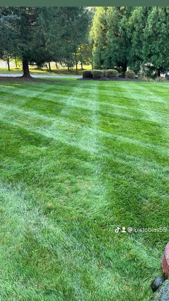 Trusted outdoor landscaping for residential properties in Clinton, MD by Tobias Landscaping