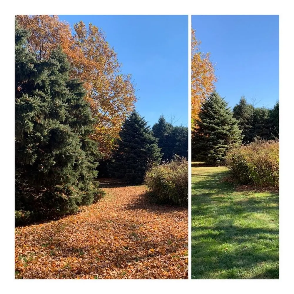 Custom yard maintenance for homes across Fremont, OH - Tobias Lawn Care & Landscaping