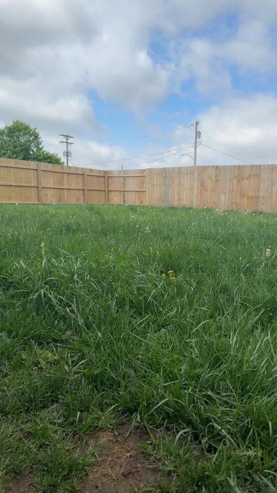 Local yard cleanup service in Urbana, OH - Tobias Lawn Care & Much More