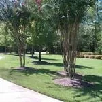 Local garden landscaping for year-round maintenance across Blythwood, SC - Tobias Services