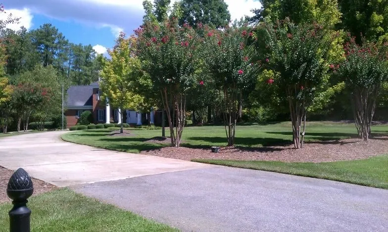 Professional landscaping services for residential properties in Blythwood, SC by Tobias Services