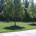 Affordable outdoor landscaping experts serving Blythwood, SC - Tobias Services