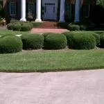 Local landscaping services in Blythwood, SC - Tobias Services