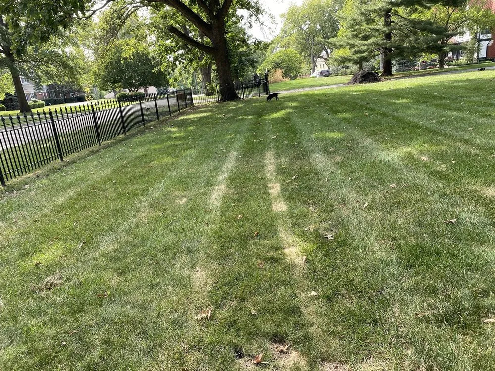 Reliable landscaping services experts serving Grandview, MO - Tobin Lawn & Landscape