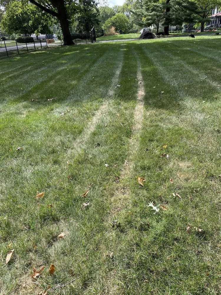 Trusted landscaping services with custom design across Grandview, MO - Tobin Lawn & Landscape