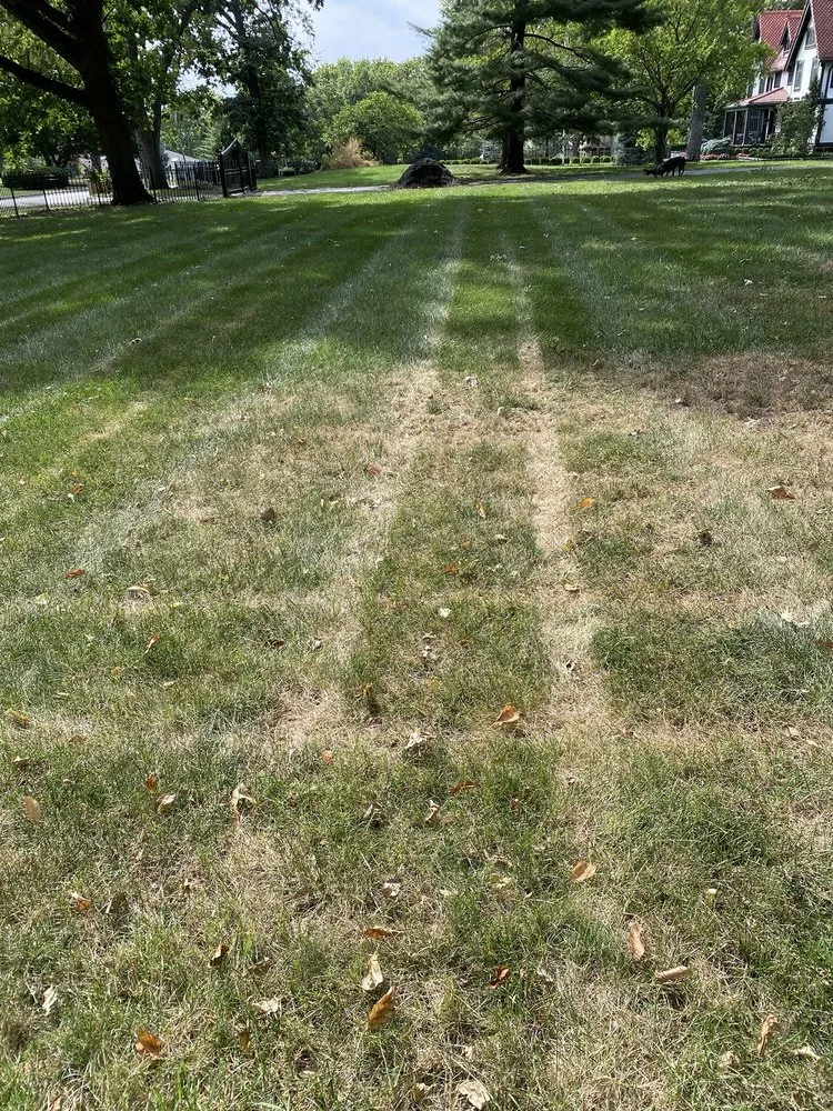 Local landscape installation experts serving Grandview, MO - Tobin Lawn & Landscape