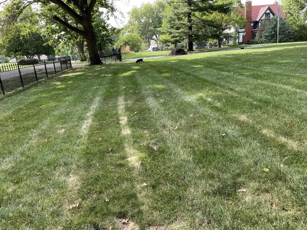 Top-rated yard cleanup service with custom design across Grandview, MO - Tobin Lawn & Landscape