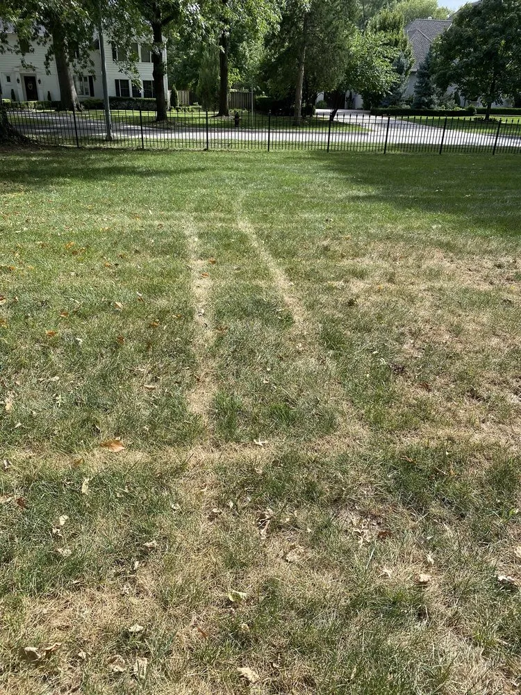 Professional garden landscaping for homes across Grandview, MO - Tobin Lawn & Landscape