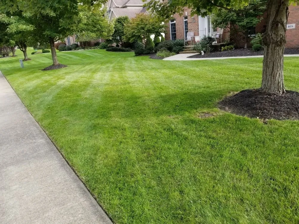 Professional landscaping services experts serving Canton, OH - Toby's Home and Lawn Care