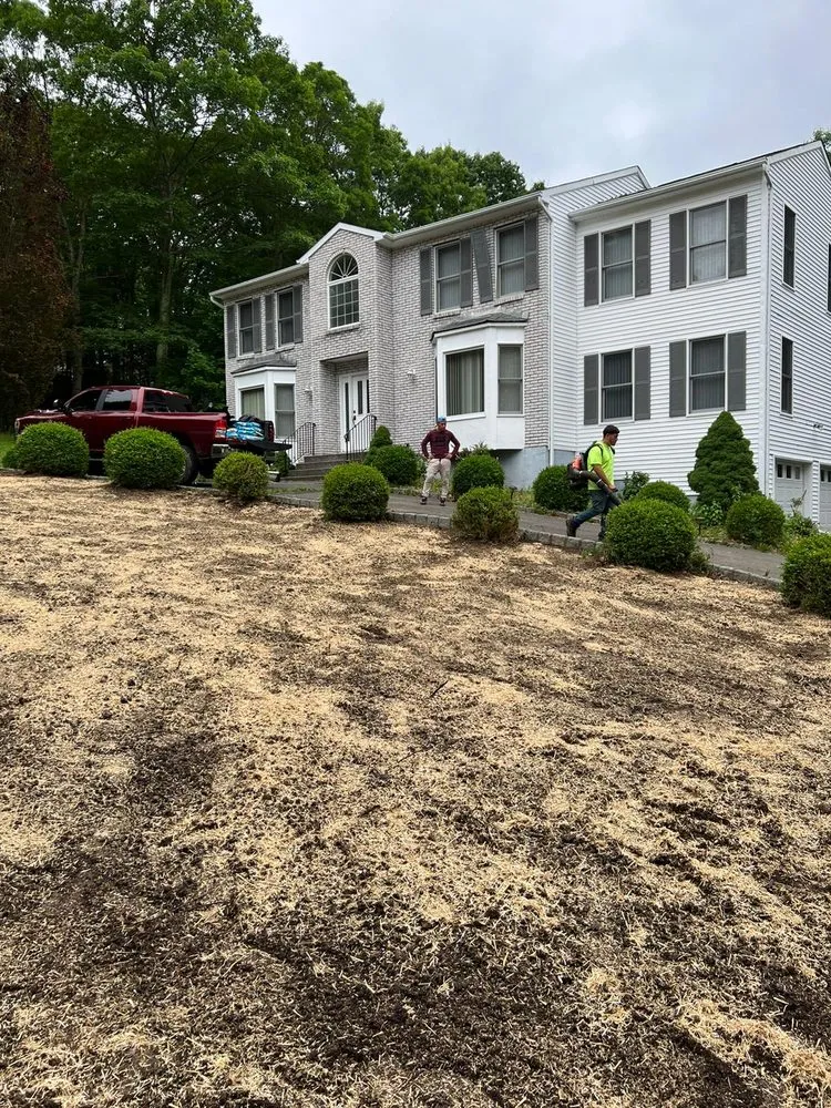 Reliable yard cleanup service in Danbury, CT by Toby’s Landscaping