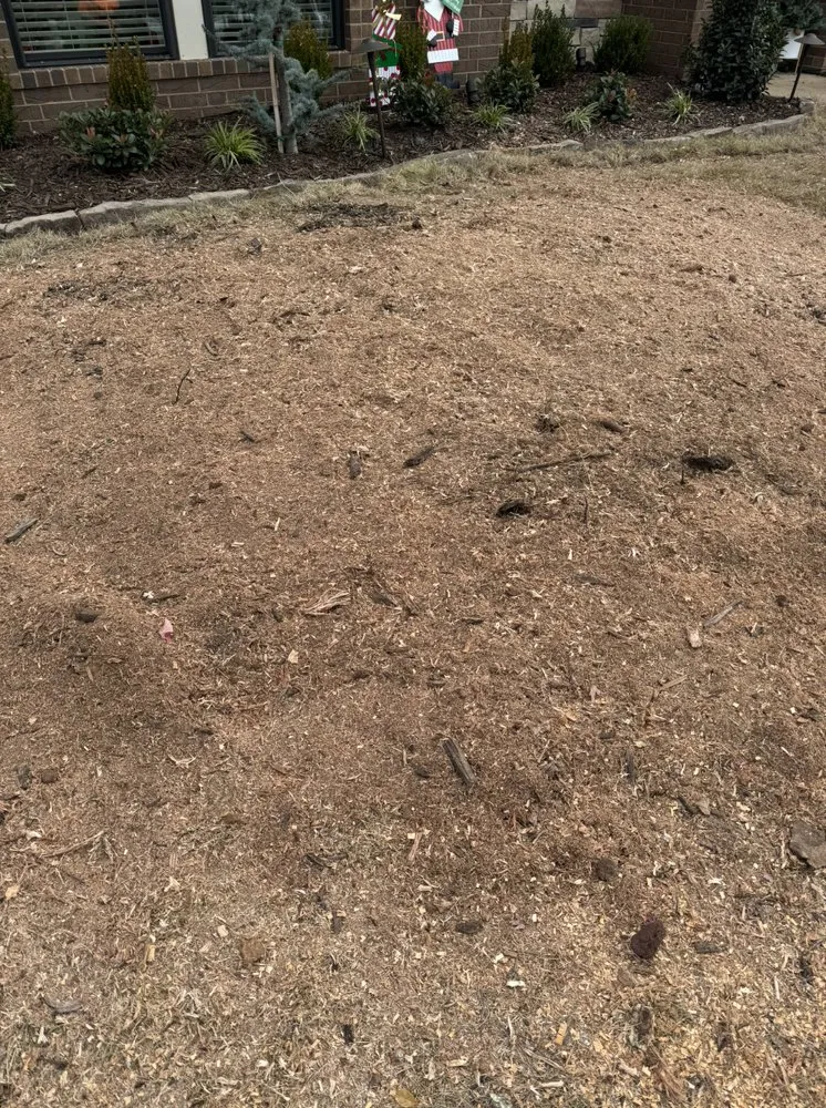 Local yard maintenance experts serving Fort Smith, AR - Toby's lawn care