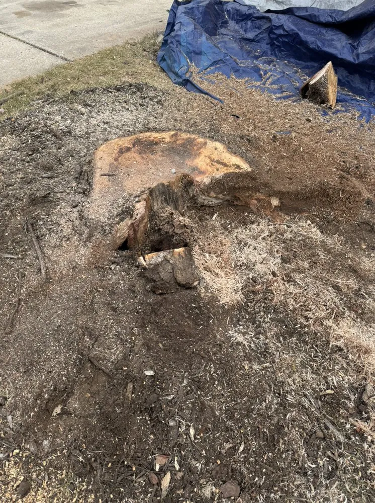 Affordable landscape design in Fort Smith, AR by Toby's lawn care