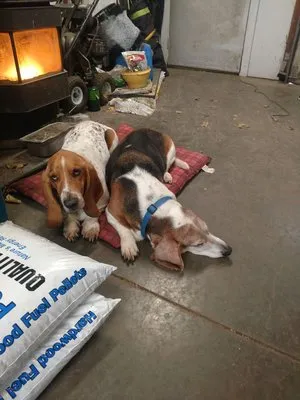 Toby’s Lawn Mowing