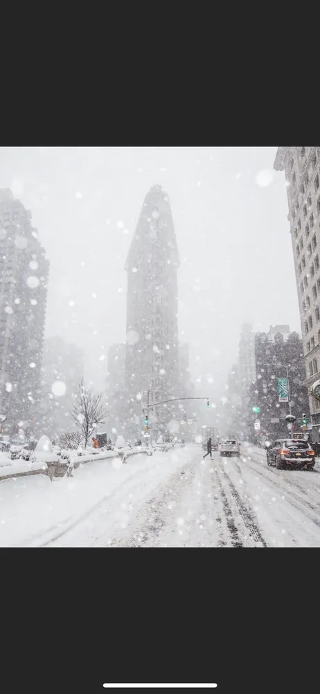 Trusted landscaping services experts serving Roseville, MI - Tocco Mannino Landscaping