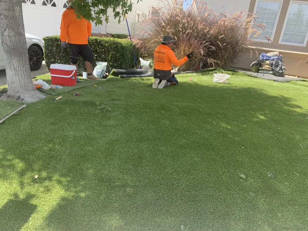 Expert yard maintenance for beautiful yards across Westminster, CA - Tochihuitl