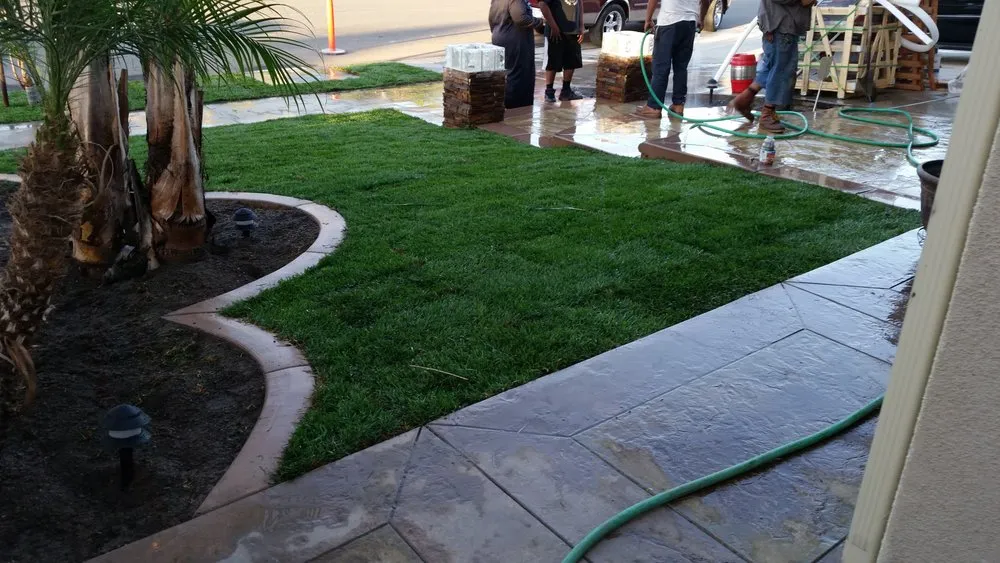 Local garden landscaping near you in Westminster, CA by Tochihuitl