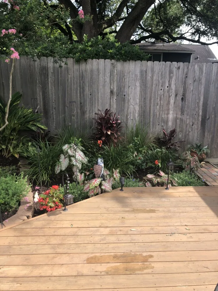 Reliable yard maintenance for beautiful yards across Houston, TX - Tocm Lawn and Landacaping