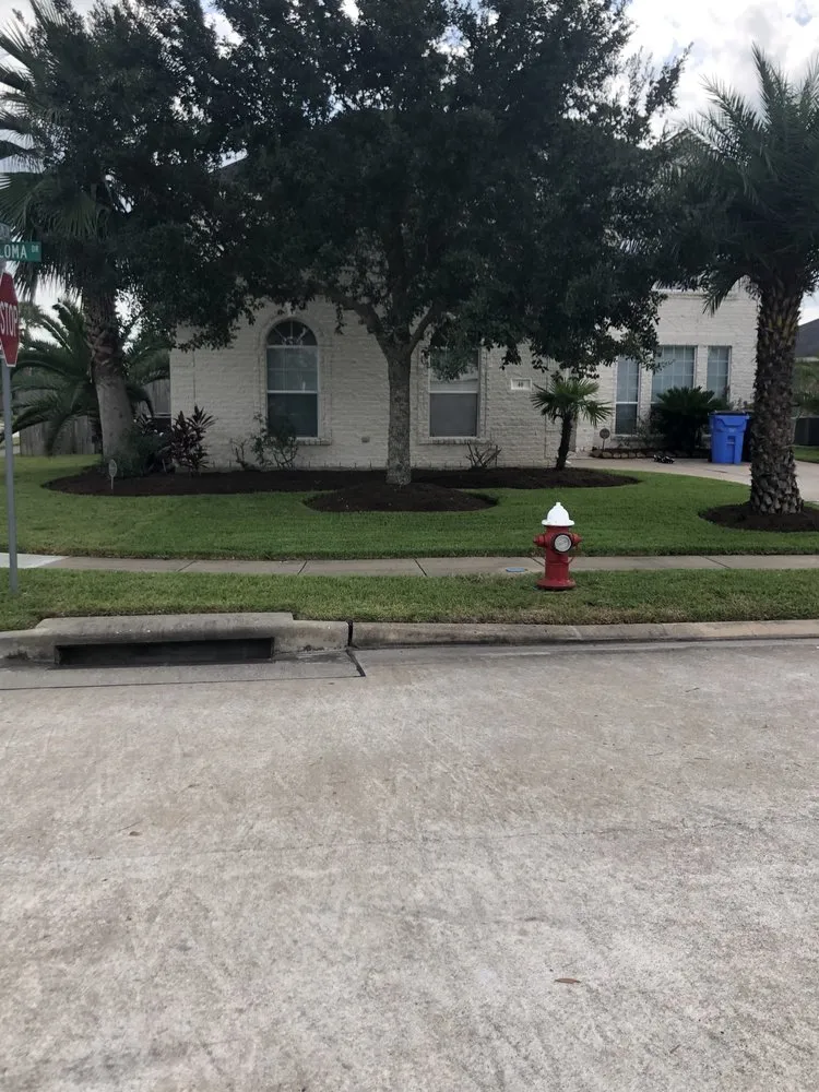 Custom landscape installation experts serving Houston, TX - Tocm Lawn and Landacaping