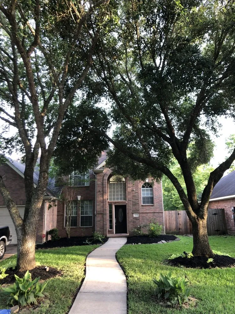 Professional landscape installation with custom design across Houston, TX - Tocm Lawn and Landacaping