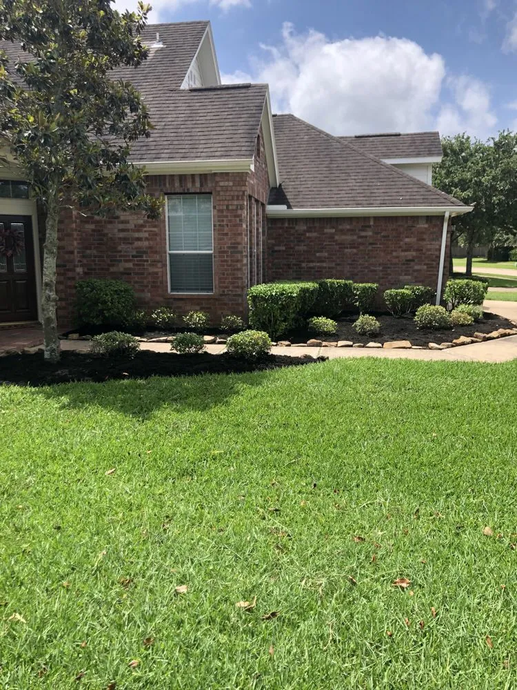 Affordable yard cleanup service in Houston, TX - Tocm Lawn and Landacaping