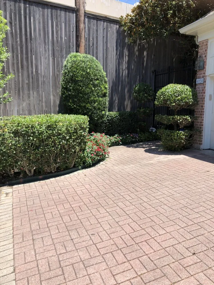 Custom yard maintenance in Houston, TX by Tocm Lawn and Landacaping