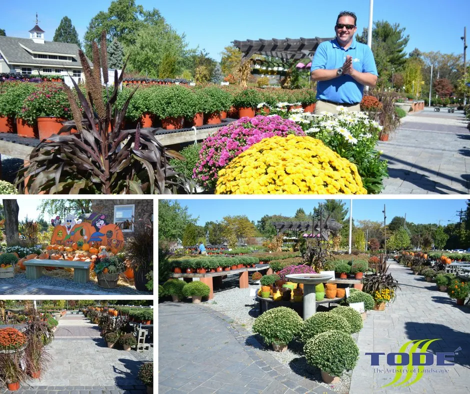 Local outdoor landscaping in Oakland, NJ by Todé Landscape Contractors
