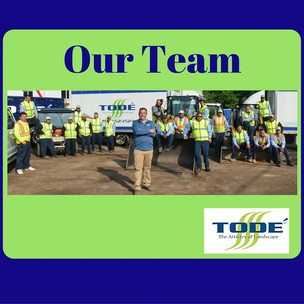 Professional yard cleanup service in Oakland, NJ - Todé Landscape Contractors