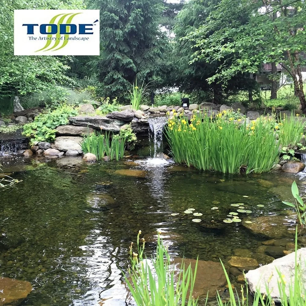 Reliable lawn care service in Oakland, NJ by Todé Landscape Contractors