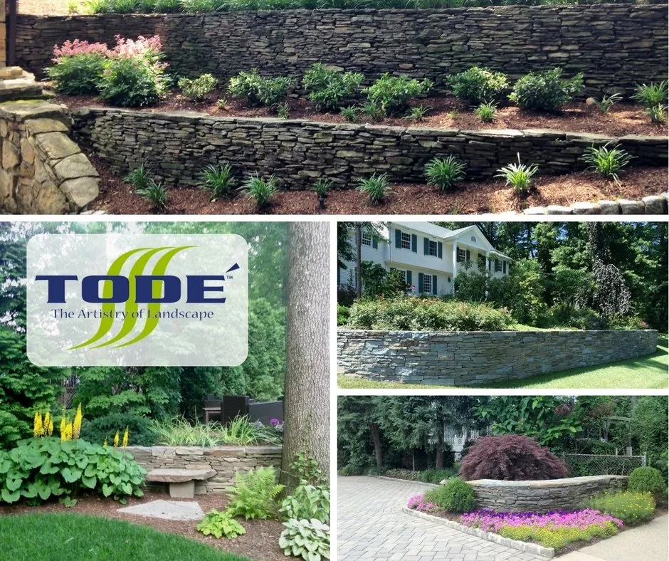 Affordable yard cleanup service for outdoor upgrades across Oakland, NJ - Todé Landscape Contractors