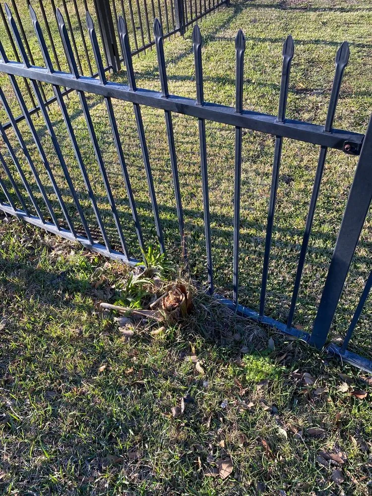 Custom outdoor landscaping near you in Prairieville, LA by Today's Lawn Maintenance