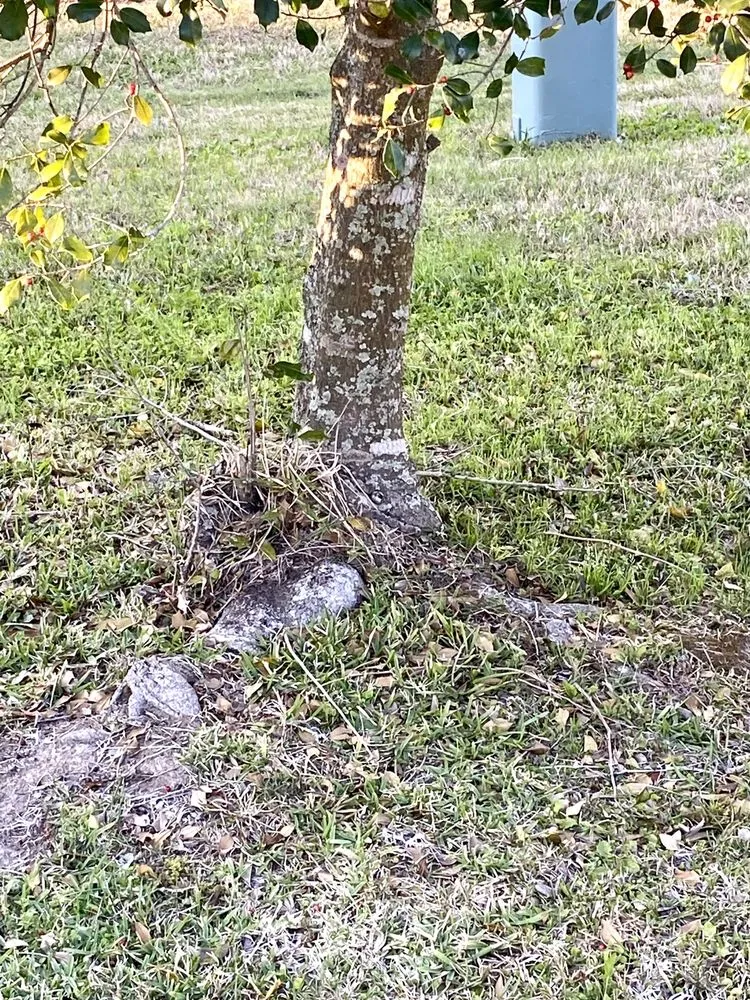 Professional garden landscaping in Prairieville, LA - Today's Lawn Maintenance