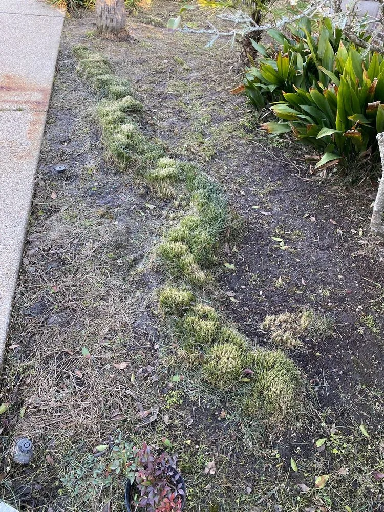 Professional lawn care service experts serving Prairieville, LA - Today's Lawn Maintenance