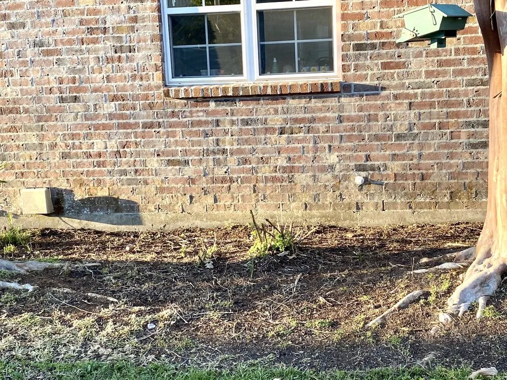 Top-rated yard maintenance experts serving Prairieville, LA - Today's Lawn Maintenance