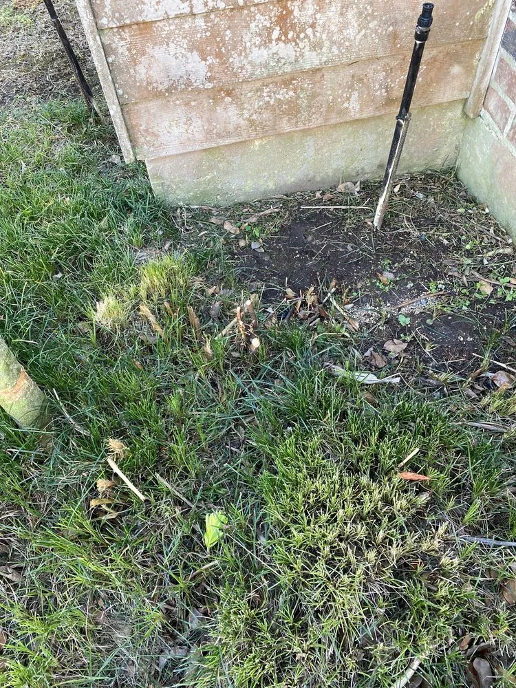 Local landscape design in Prairieville, LA - Today's Lawn Maintenance