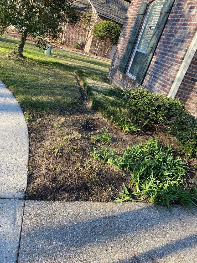 Reliable residential landscaping for outdoor upgrades in Prairieville, LA by Today's Lawn Maintenance