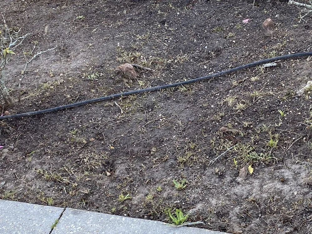 Trusted landscaping services in Prairieville, LA by Today's Lawn Maintenance