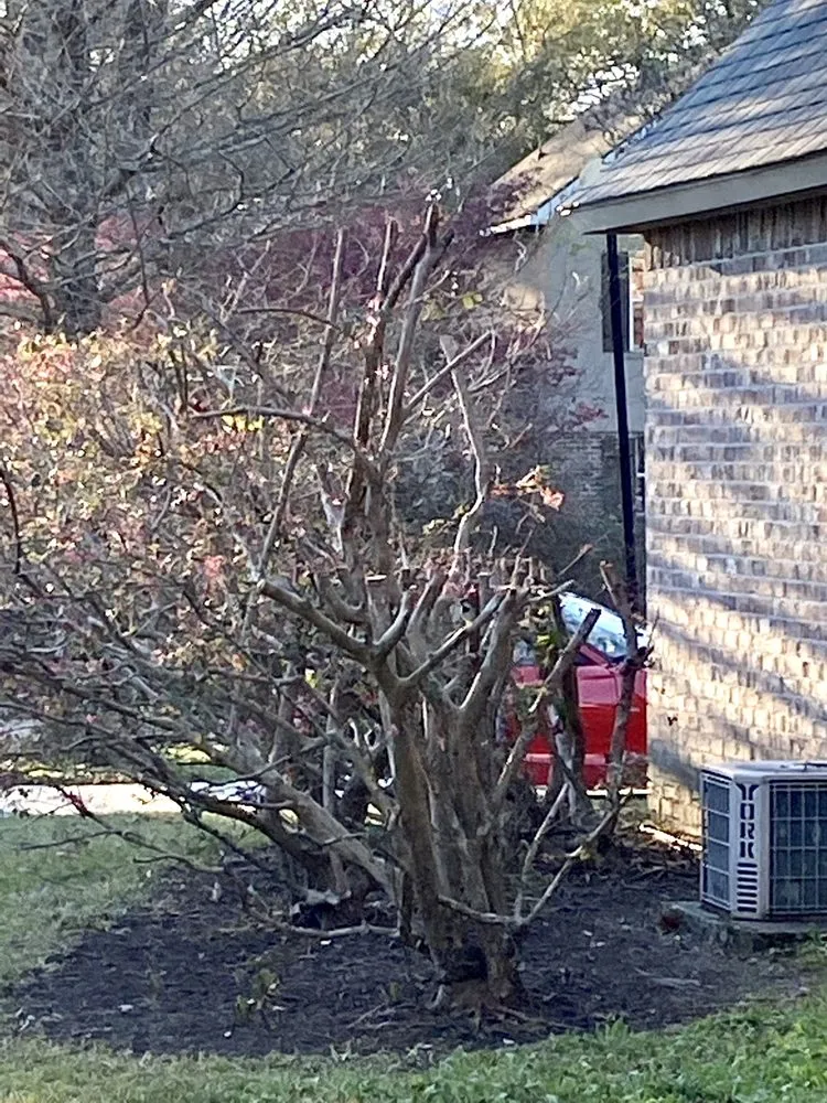 Affordable yard cleanup service experts serving Prairieville, LA - Today's Lawn Maintenance