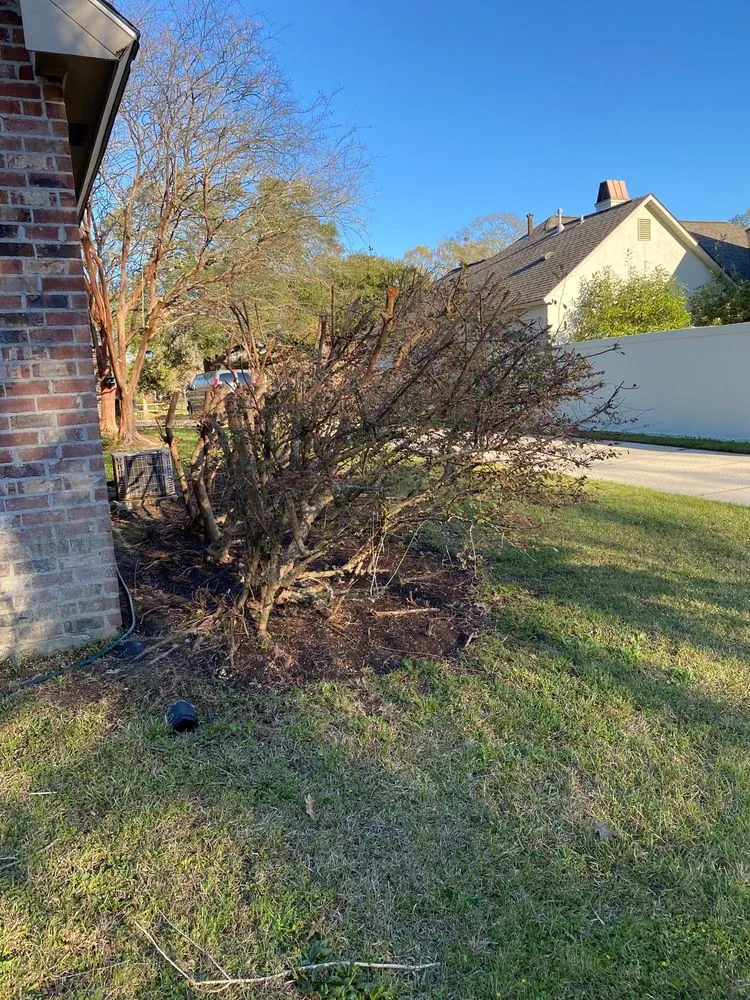 Reliable lawn mowing service experts serving Prairieville, LA - Today's Lawn Maintenance