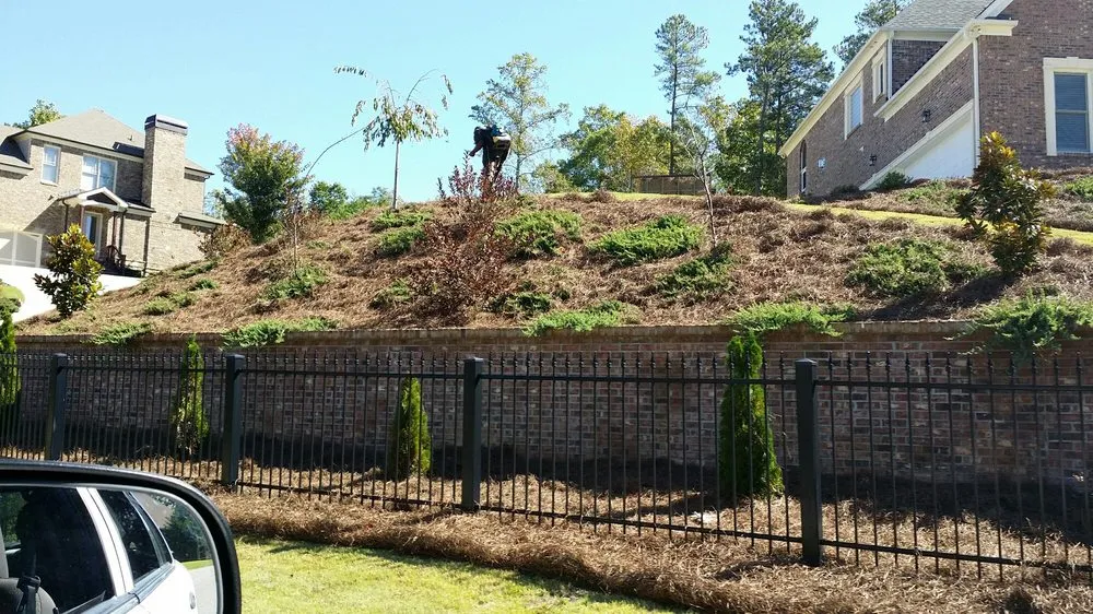 Expert residential landscaping in Marietta, GA by Today's Pinestraw and Landscaping Services