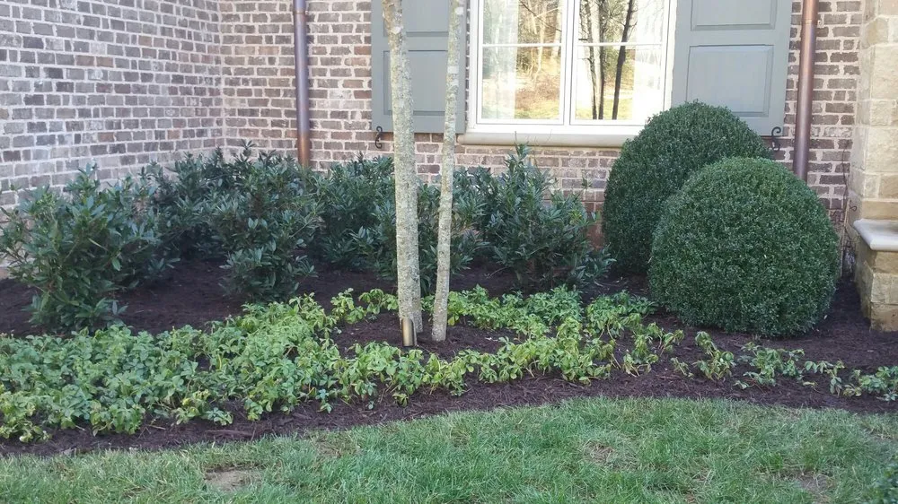 Top-rated residential landscaping with custom design in Marietta, GA by Today's Pinestraw and Landscaping Services