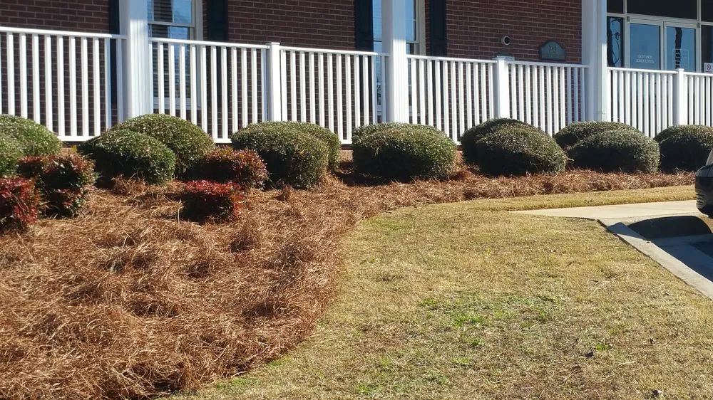 Custom landscape design for year-round maintenance across Marietta, GA - Today's Pinestraw and Landscaping Services