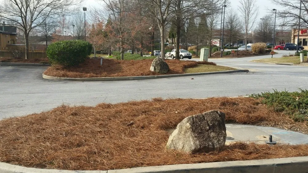 Reliable landscaping services experts serving Marietta, GA - Today's Pinestraw and Landscaping Services