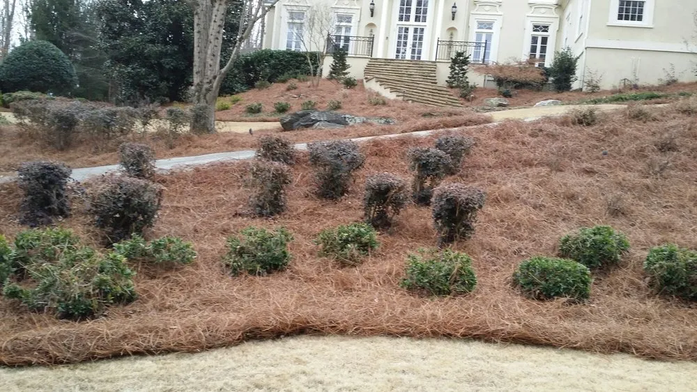 Professional landscape installation in Marietta, GA by Today's Pinestraw and Landscaping Services