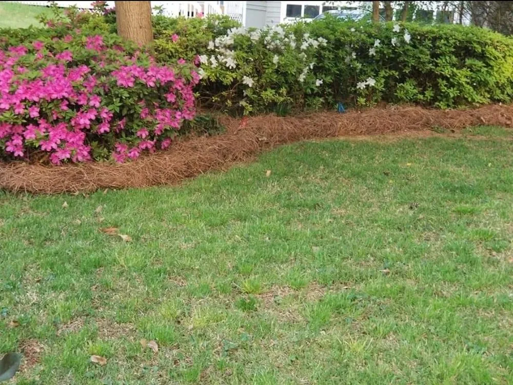 Custom outdoor landscaping with custom design across Marietta, GA - Today's Pinestraw and Landscaping Services