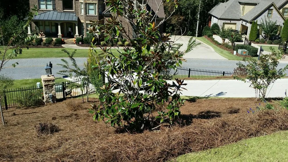 Custom lawn care service experts serving Marietta, GA - Today's Pinestraw and Landscaping Services