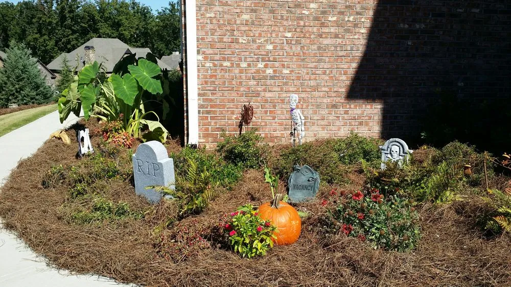 Top-rated lawn care service in Marietta, GA - Today's Pinestraw and Landscaping Services