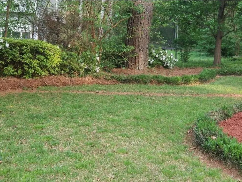 Local yard maintenance for beautiful yards in Marietta, GA by Today's Pinestraw and Landscaping Services