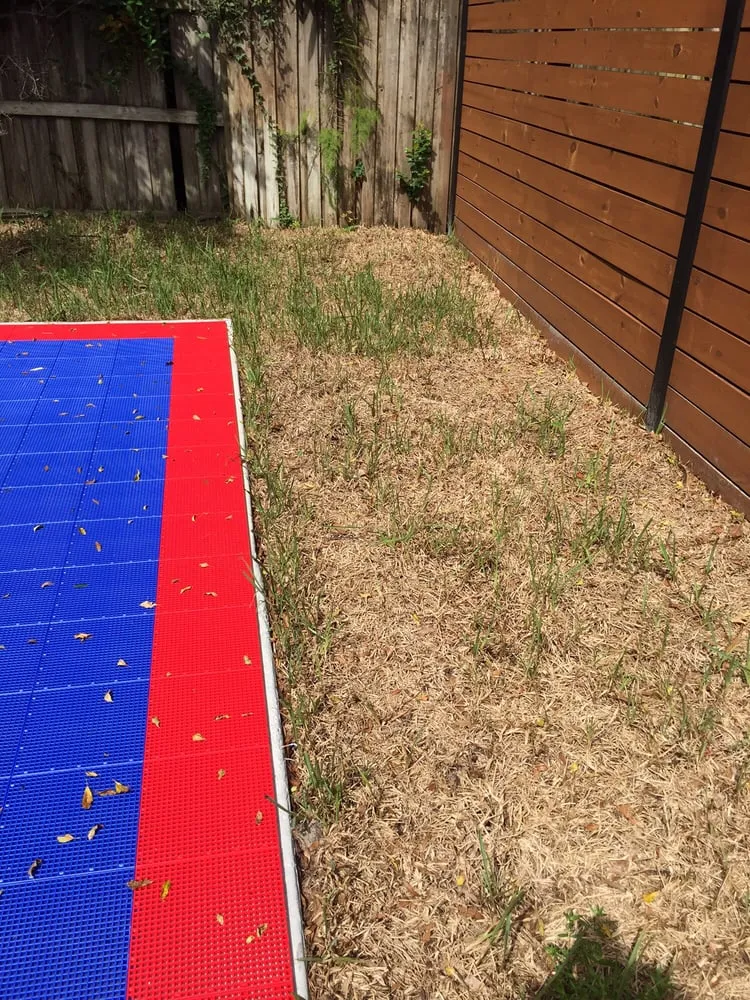 Local outdoor landscaping for residential properties across Winter Park, FL - Today's Property Maintenance