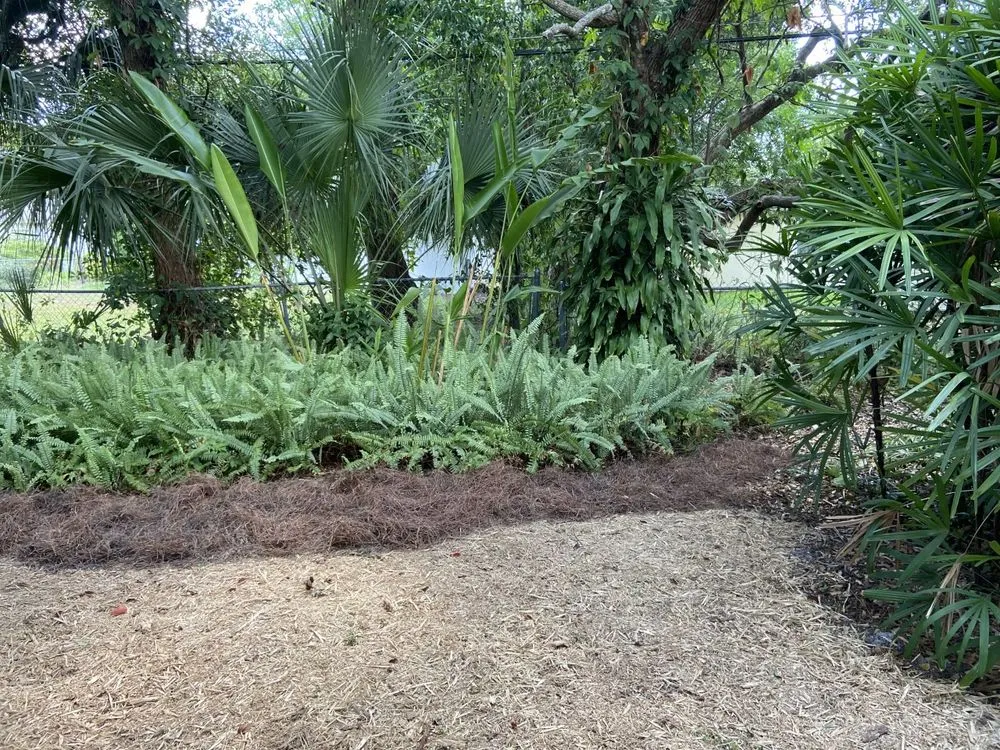 Affordable yard cleanup service in Winter Park, FL - Today's Property Maintenance